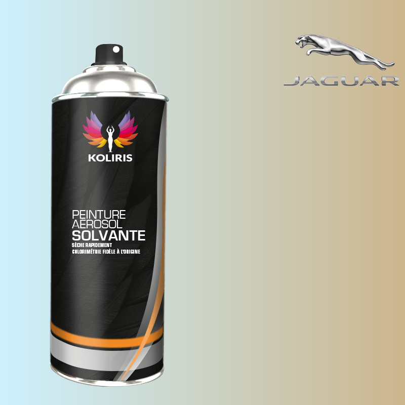 Bombe de peinture voiture solvant Jaguar 400ml