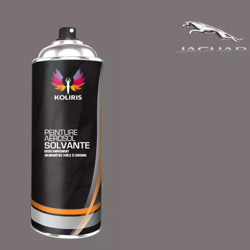 Bombe de peinture voiture solvant Jaguar 400ml