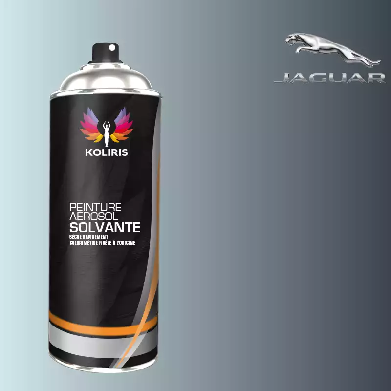 Bombe de peinture voiture solvant Jaguar 400ml