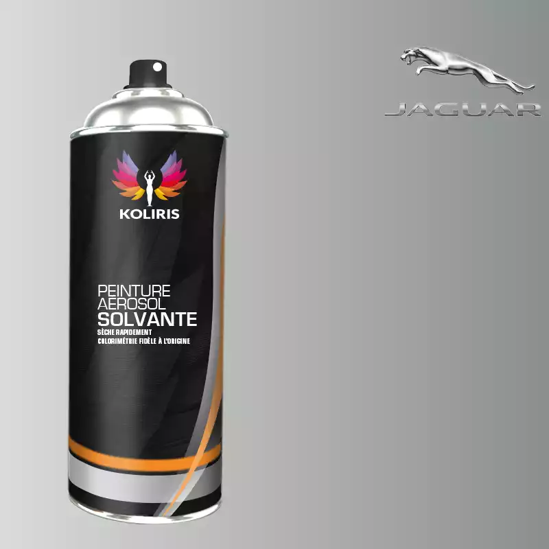 Bombe de peinture voiture solvant Jaguar 400ml