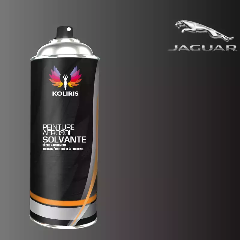 Bombe de peinture voiture solvant Jaguar 400ml