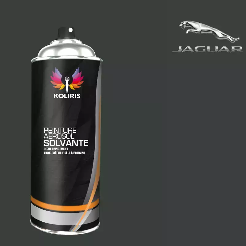 Bombe de peinture voiture solvant Jaguar 400ml