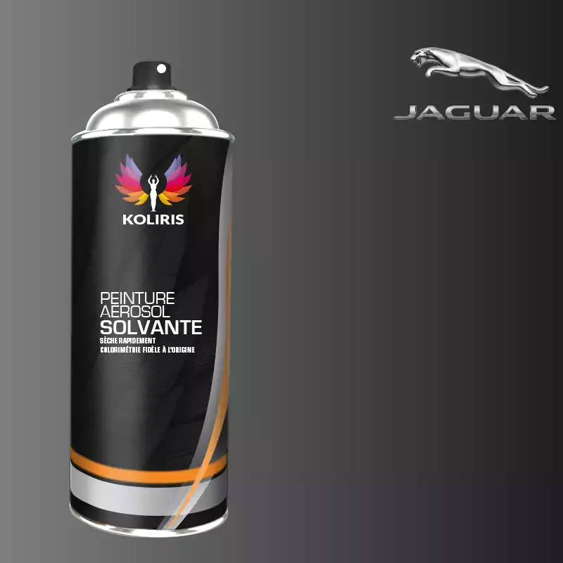 Bombe de peinture voiture solvant Jaguar 400ml