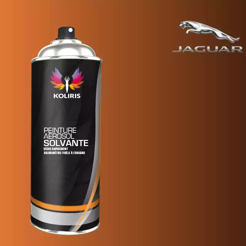 Bombe de peinture voiture solvant Jaguar 400ml