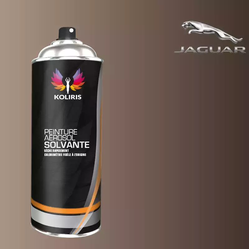 Bombe de peinture voiture solvant Jaguar 400ml