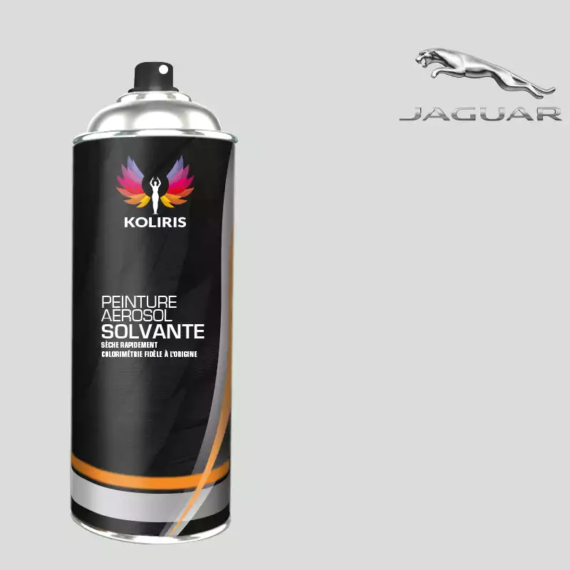 Bombe de peinture voiture solvant Jaguar 400ml