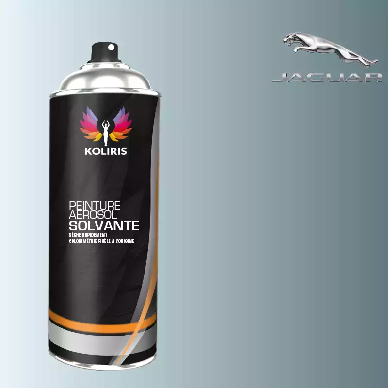 Bombe de peinture voiture solvant Jaguar 400ml