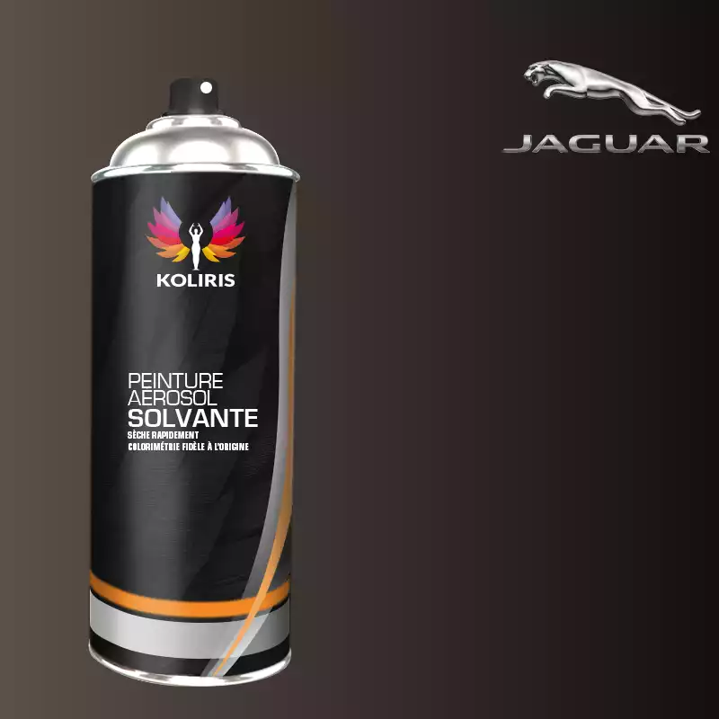 Bombe de peinture voiture solvant Jaguar 400ml