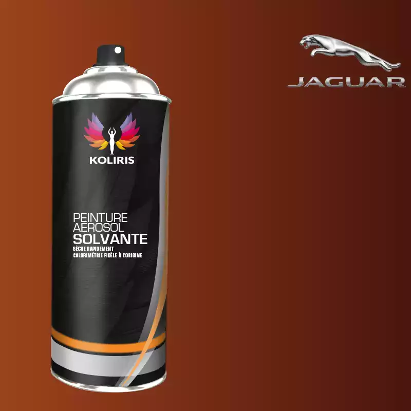 Bombe de peinture voiture solvant Jaguar 400ml