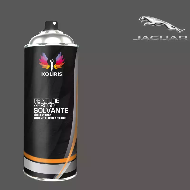 Bombe de peinture voiture solvant Jaguar 400ml