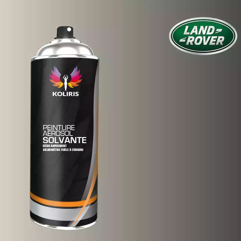 Bombe de peinture voiture solvant Landrover 400ml