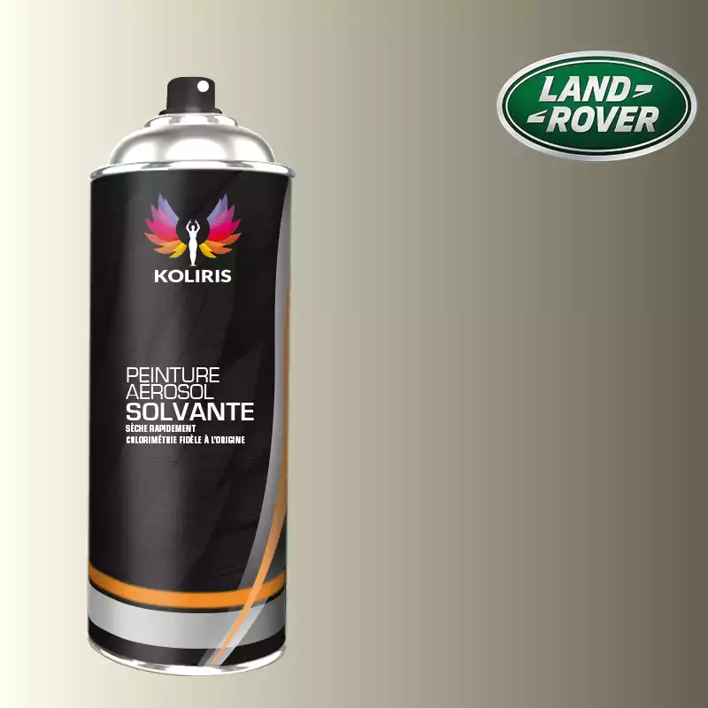 Bombe de peinture voiture solvant Landrover 400ml