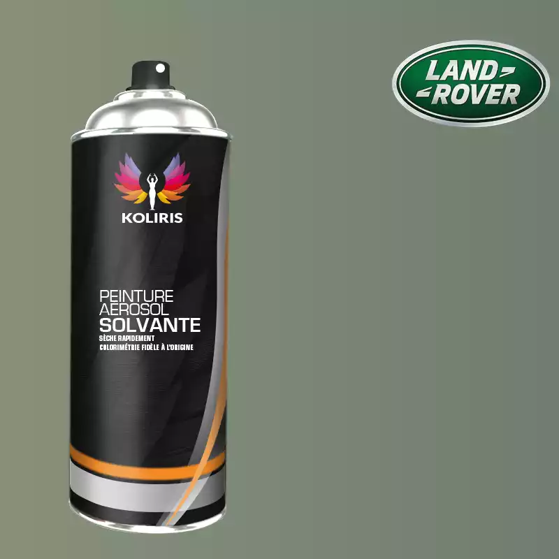 Bombe de peinture voiture solvant Landrover 400ml