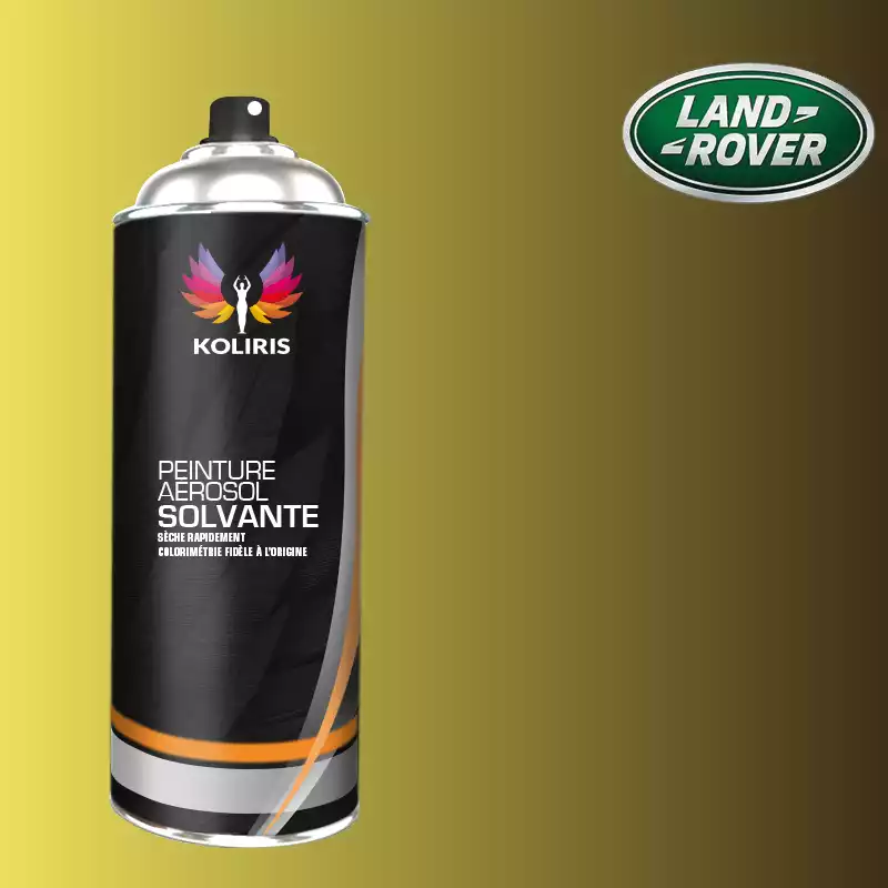 Bombe de peinture voiture solvant Landrover 400ml