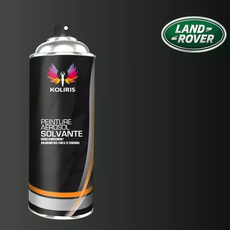 Bombe de peinture voiture solvant Landrover 400ml