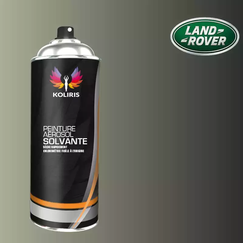 Bombe de peinture voiture solvant Landrover 400ml