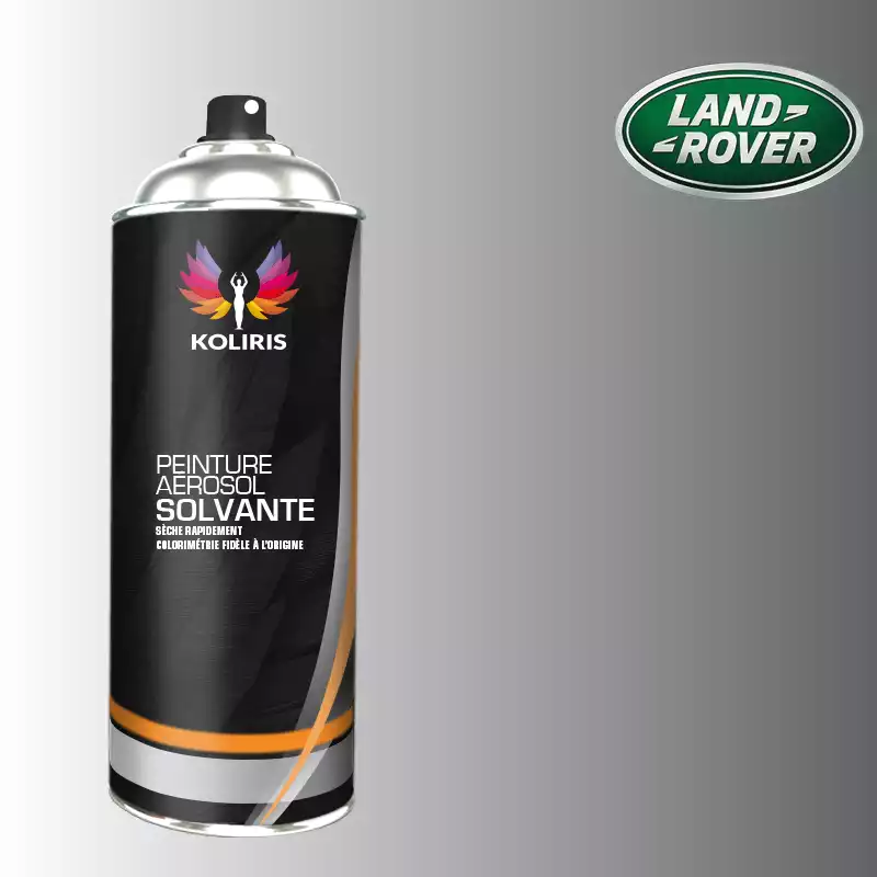 Bombe de peinture voiture solvant Landrover 400ml