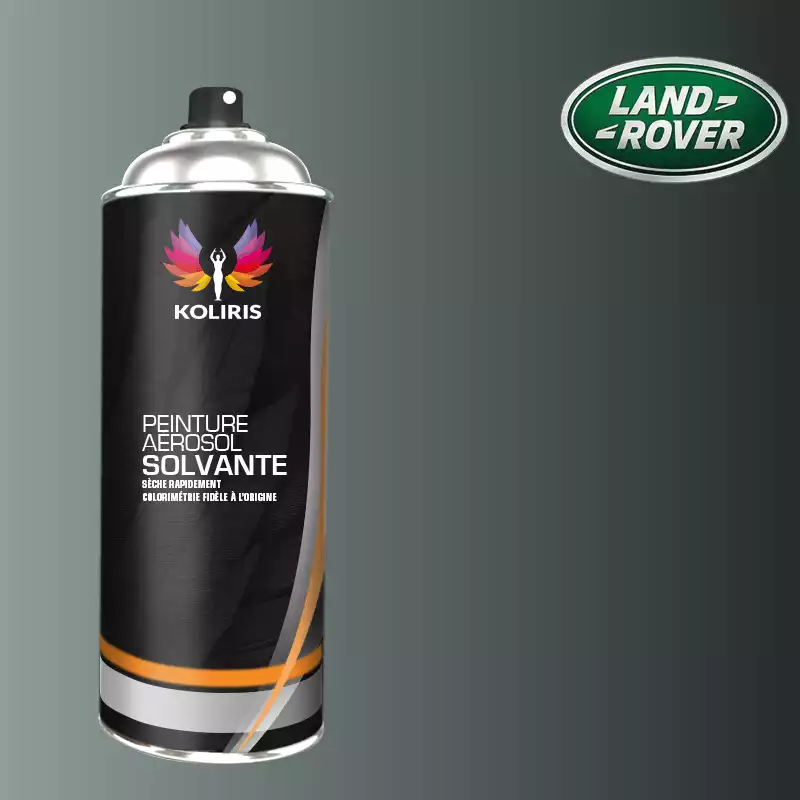 Bombe de peinture voiture solvant Landrover 400ml