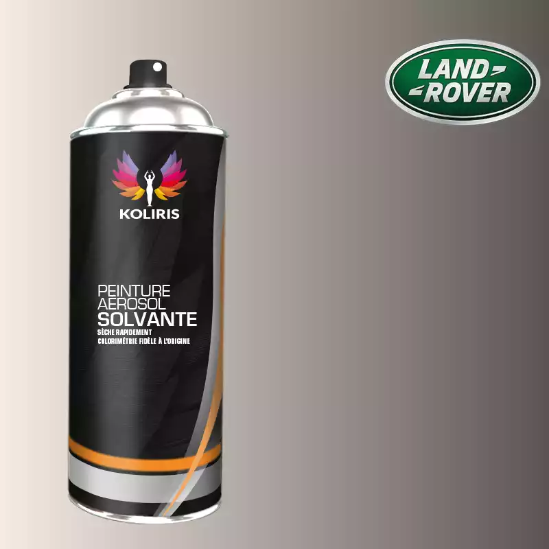 Bombe de peinture voiture solvant Landrover 400ml