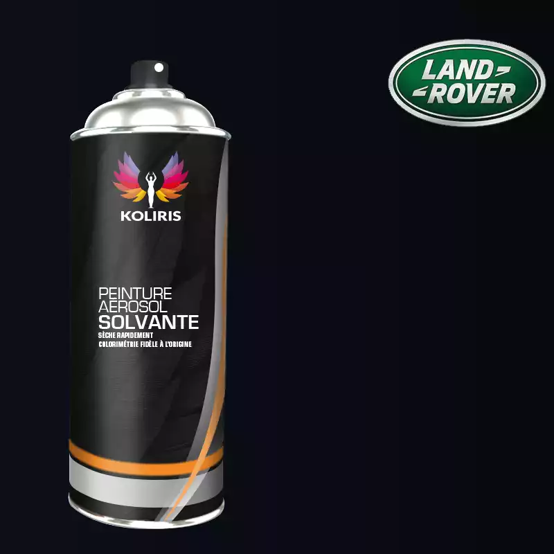 Bombe de peinture voiture solvant Landrover 400ml