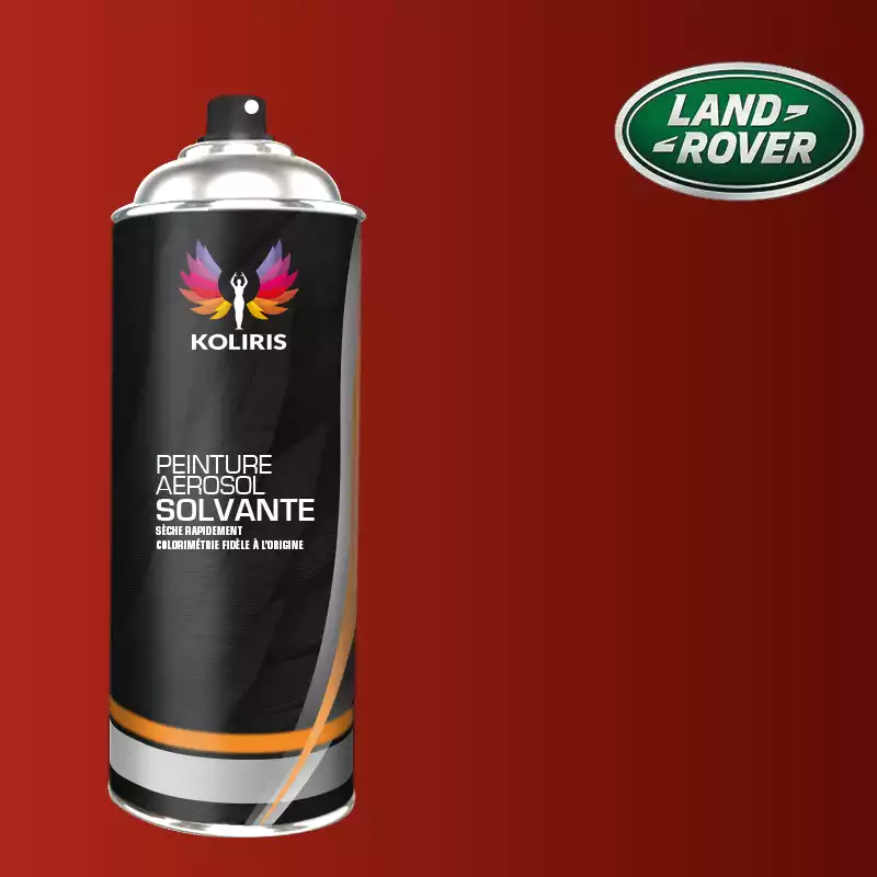 Bombe de peinture voiture solvant Landrover 400ml