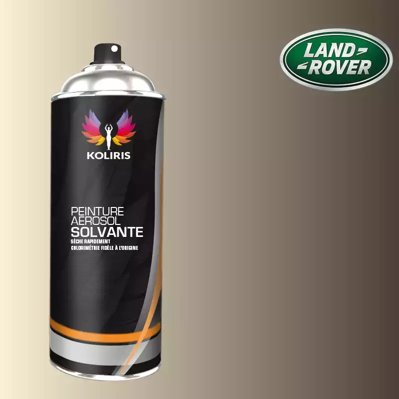 Bombe de peinture voiture solvant Landrover 400ml