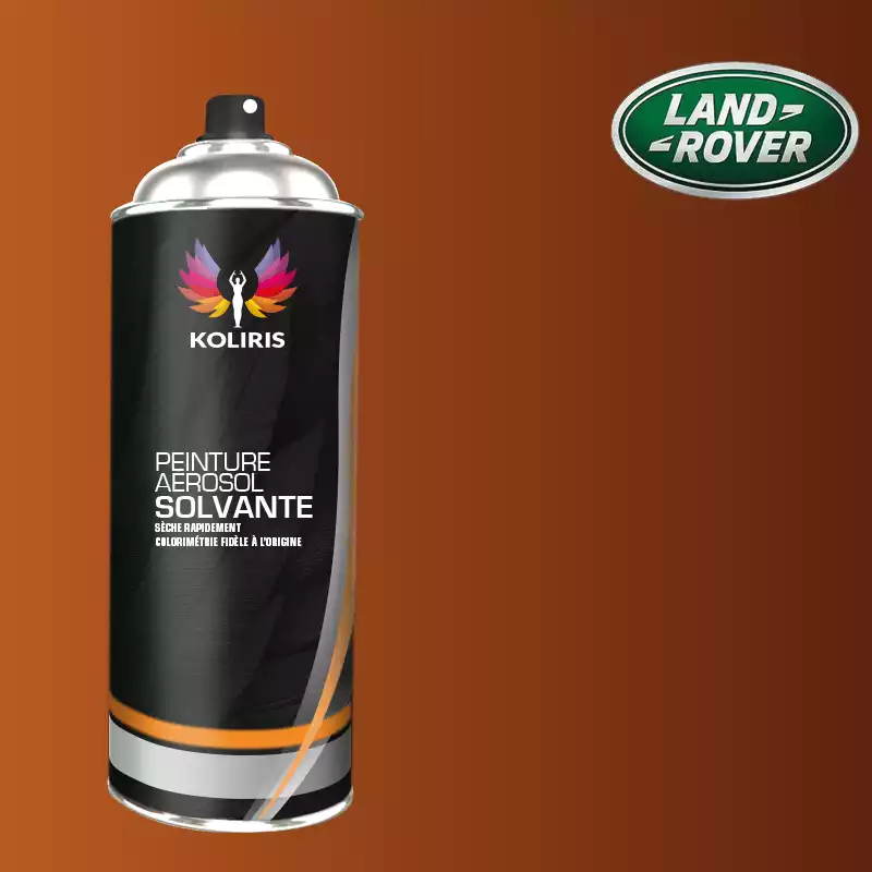 Bombe de peinture voiture solvant Landrover 400ml