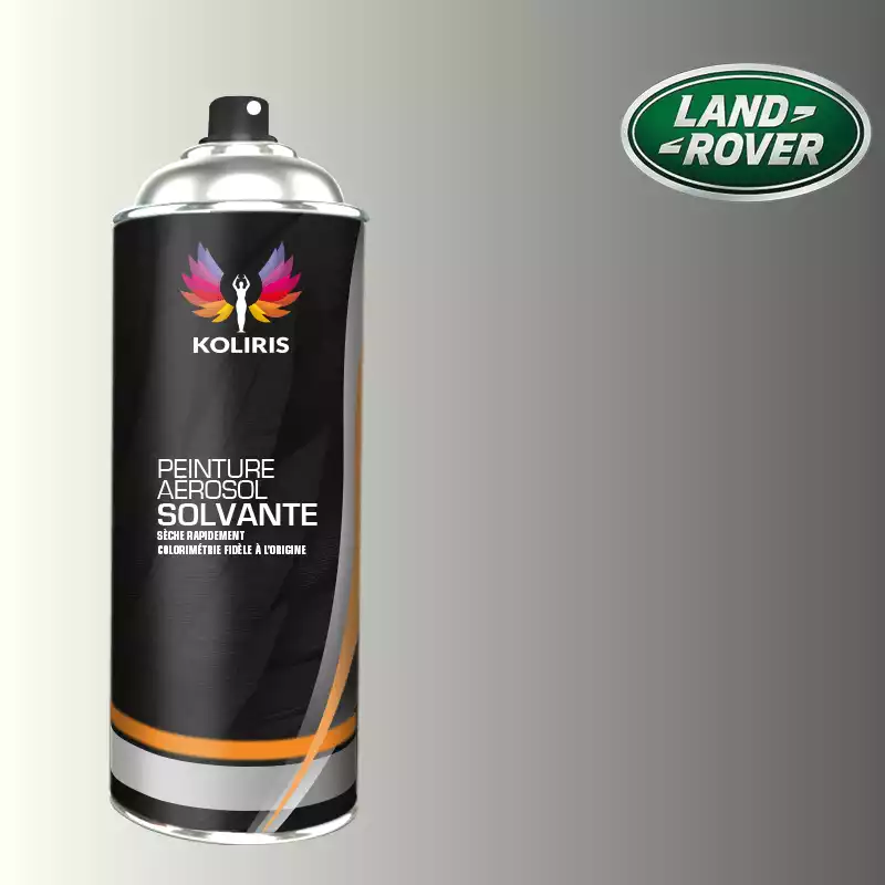 Bombe de peinture voiture solvant Landrover 400ml