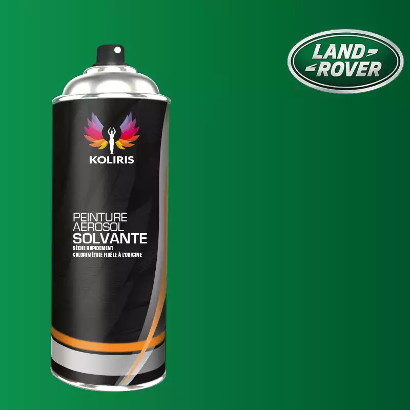 Bombe de peinture voiture solvant Landrover 400ml