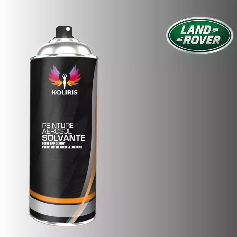 Bombe de peinture voiture solvant Landrover 400ml