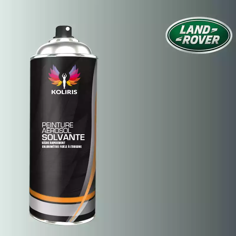 Bombe de peinture voiture solvant Landrover 400ml