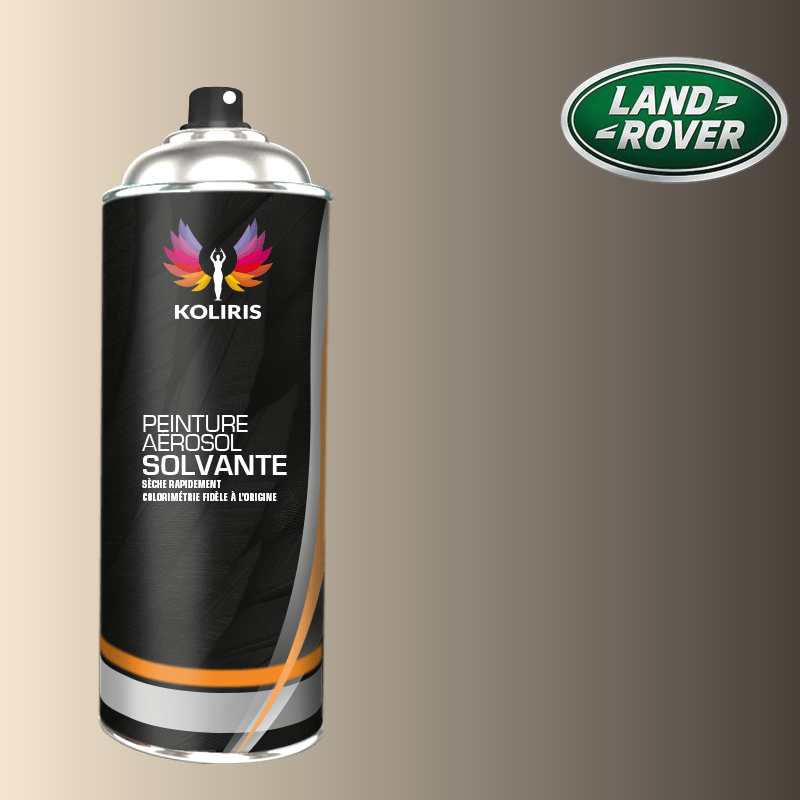 Bombe de peinture voiture solvant Landrover 400ml