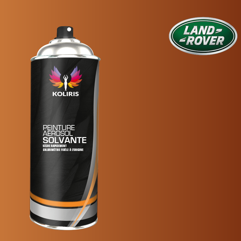 Bombe de peinture voiture solvant Landrover 400ml