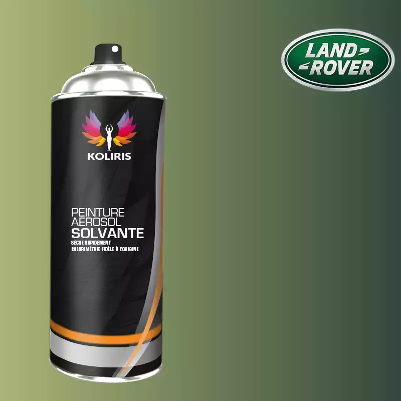 Bombe de peinture voiture solvant Landrover 400ml