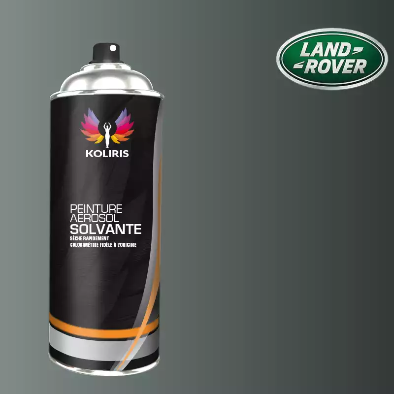 Bombe de peinture voiture solvant Landrover 400ml