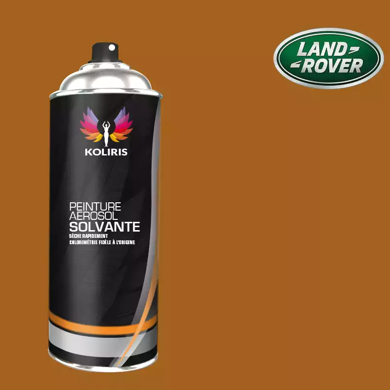 Bombe de peinture voiture solvant Landrover 400ml