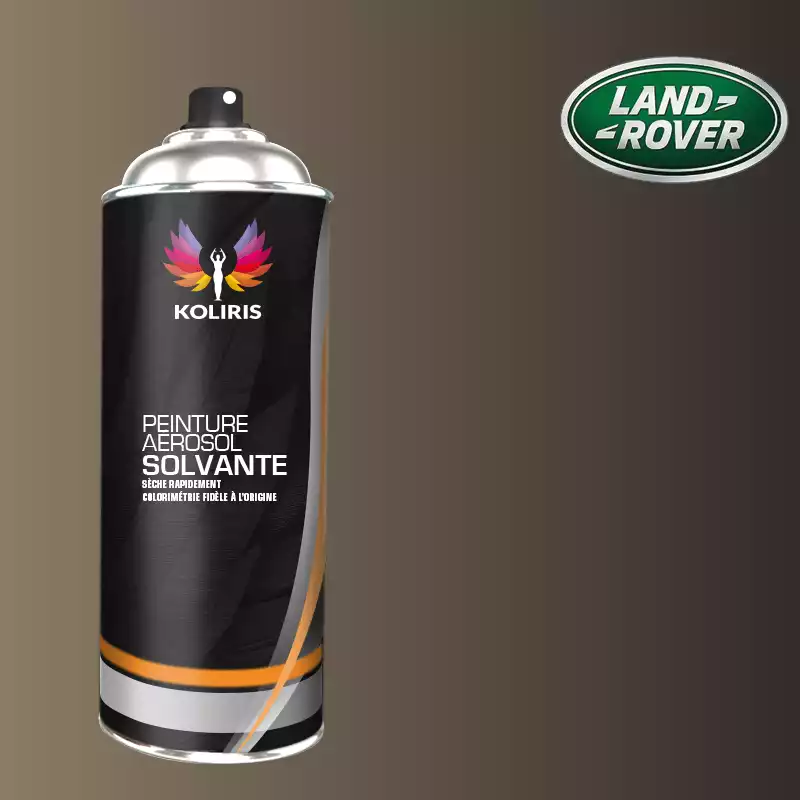 Bombe de peinture voiture solvant Landrover 400ml