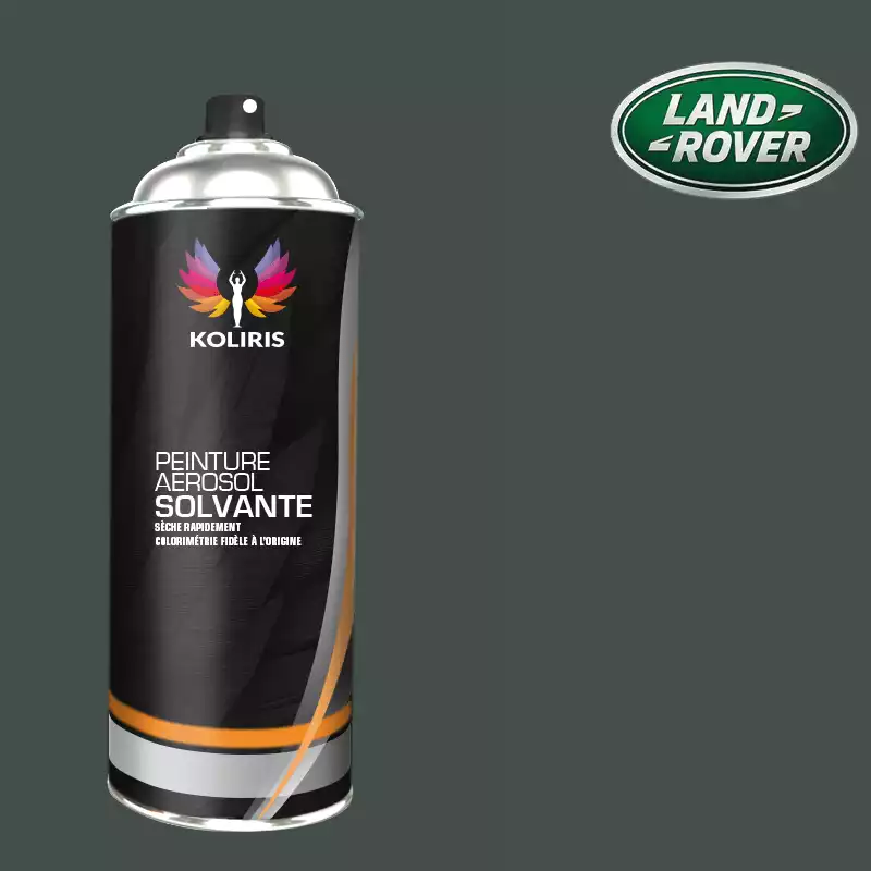 Bombe de peinture voiture solvant Landrover 400ml