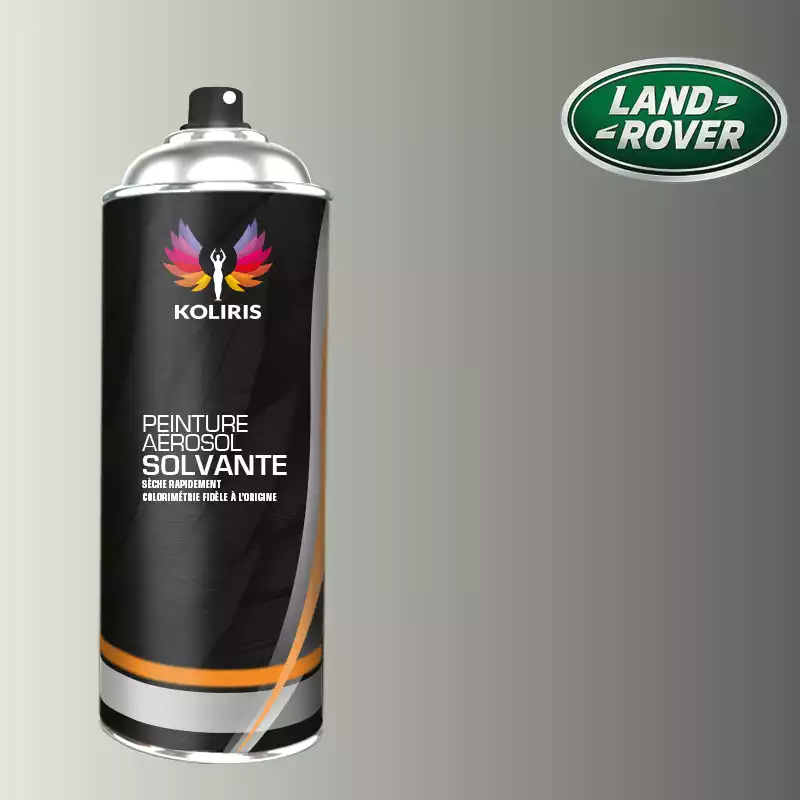 Bombe de peinture voiture solvant Landrover 400ml