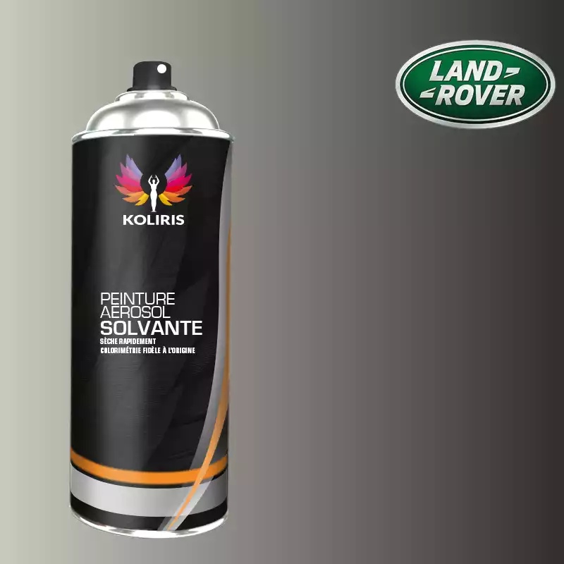 Bombe de peinture voiture solvant Landrover 400ml