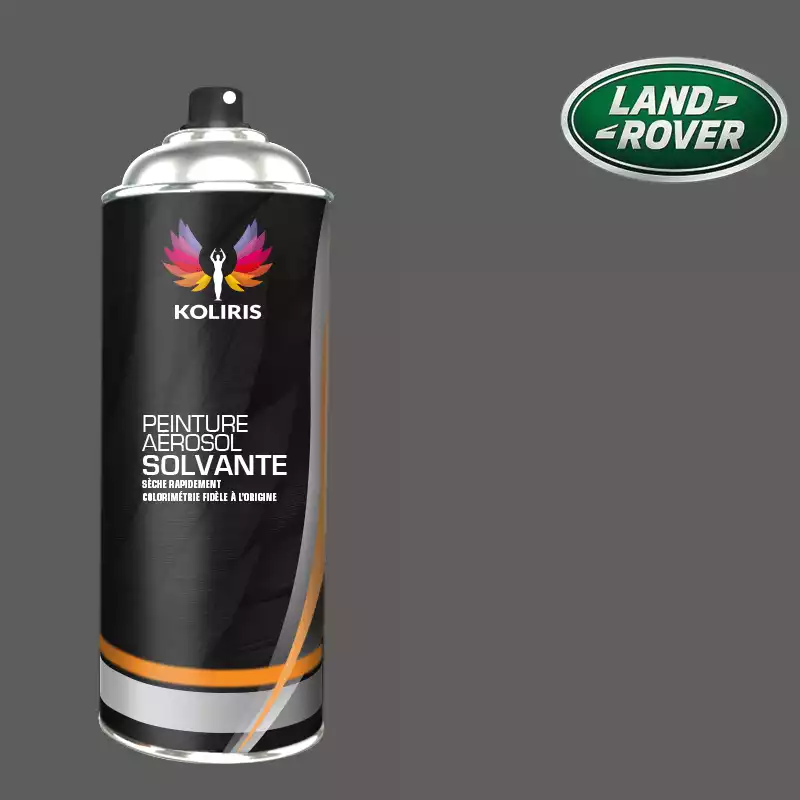 Bombe de peinture voiture solvant Landrover 400ml