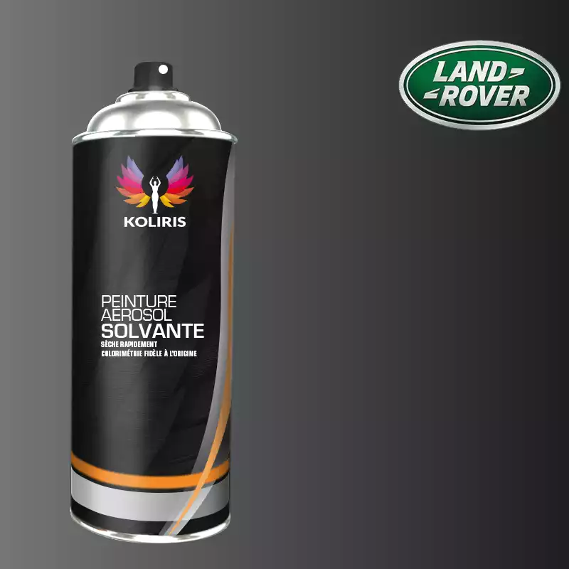 Bombe de peinture voiture solvant Landrover 400ml