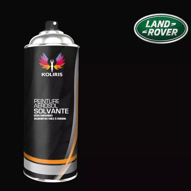 Bombe de peinture voiture solvant Landrover 400ml