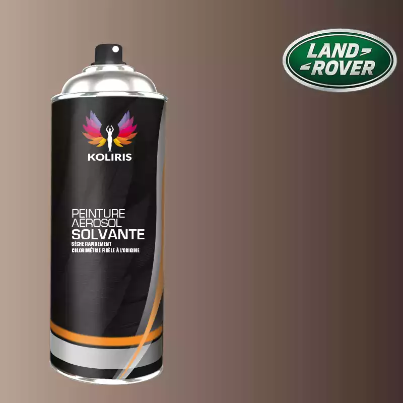 Bombe de peinture voiture solvant Landrover 400ml