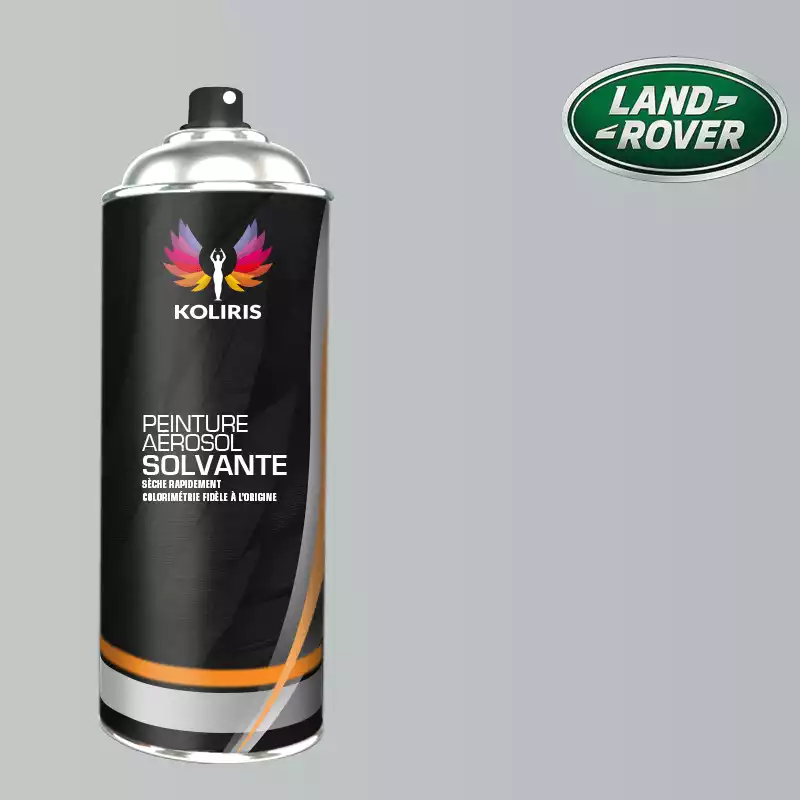 Bombe de peinture voiture solvant Landrover 400ml