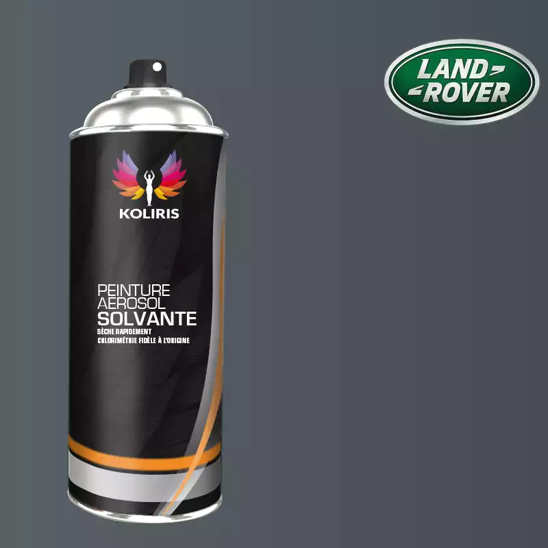 Bombe de peinture voiture solvant Landrover 400ml