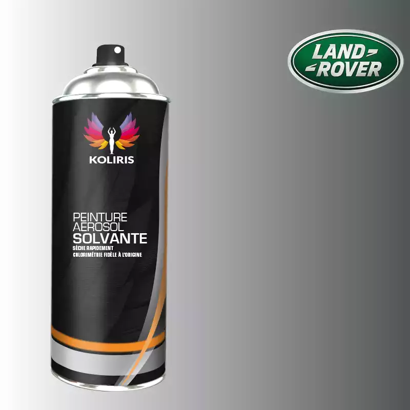 Bombe de peinture voiture solvant Landrover 400ml