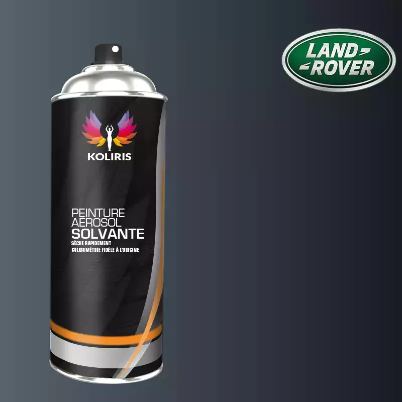 Bombe de peinture voiture solvant Landrover 400ml