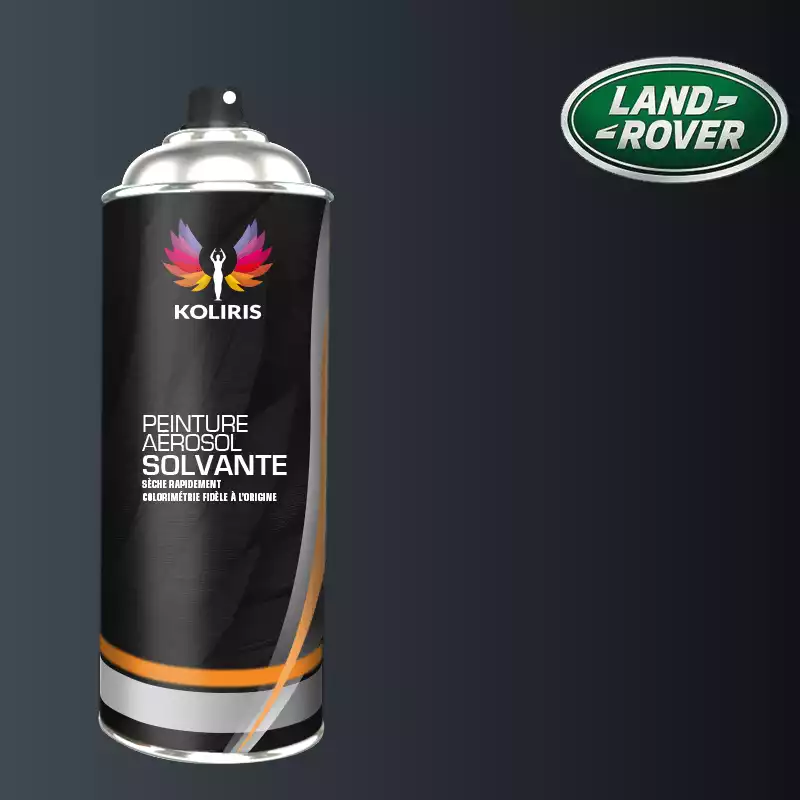 Bombe de peinture voiture solvant Landrover 400ml