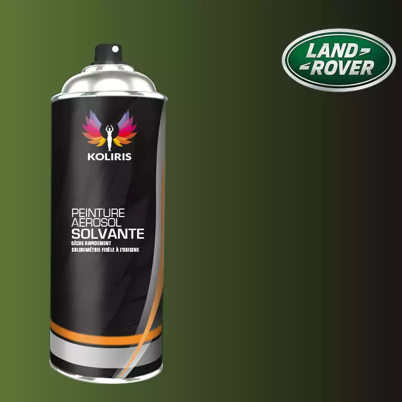 Bombe de peinture voiture solvant Landrover 400ml